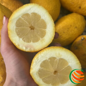 Cedri di Sicilia - 2,90€/kg