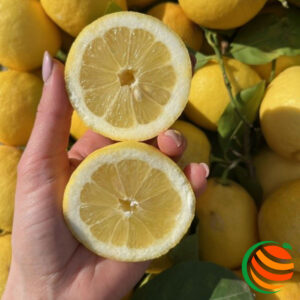 Limoni Zagara Bianca - 2€/kg