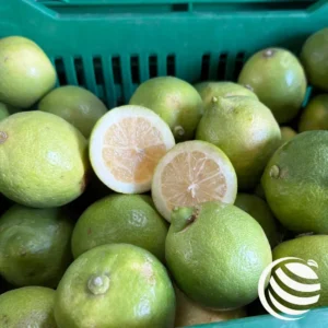 Limone Verdello - 2,50€/kg